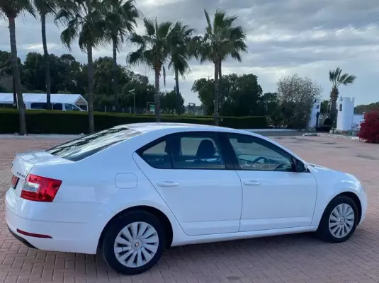 Skoda Octavia for rent in Cyprus